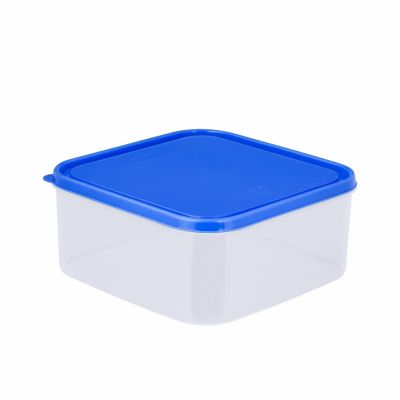 Caja conservadora Freezer N 5 Azul