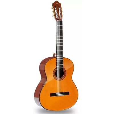 Guitarra Acustica C70