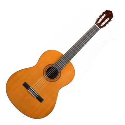 Guitarra Acústica C40