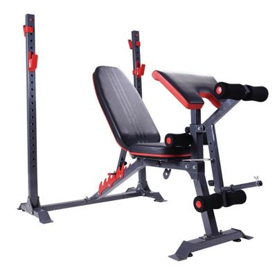 Weight Bench Press Gym Banco Libre DDS7301 Rack