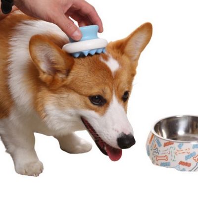 Cepillo Masajeador Portátil Azul Para Mascotas