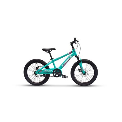 Biciclet Infantil Trinx Raptor 1.0 Aro 20