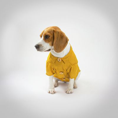 Camisa Pet Polka Dots Mustard