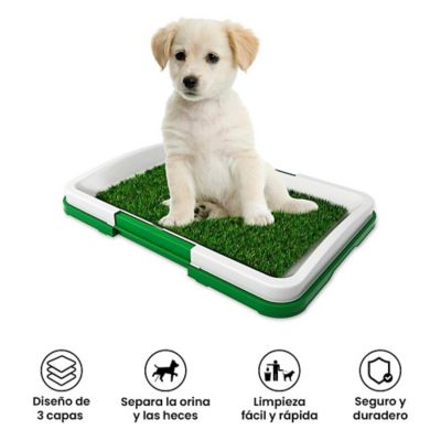 Baño Portátil Reutilizable para Perros Medianos