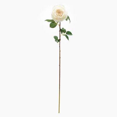 Rosa Crema 96 cm Mica