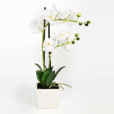 Orquídea Sintética 56 cm Mica