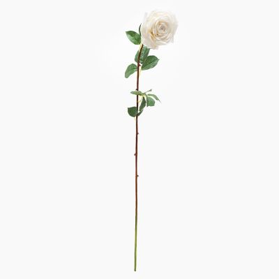 Rosa Blanca 96 cm Mica
