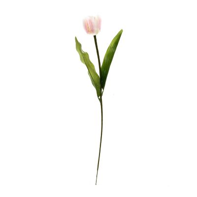 Tulipan Blanco 55 cm