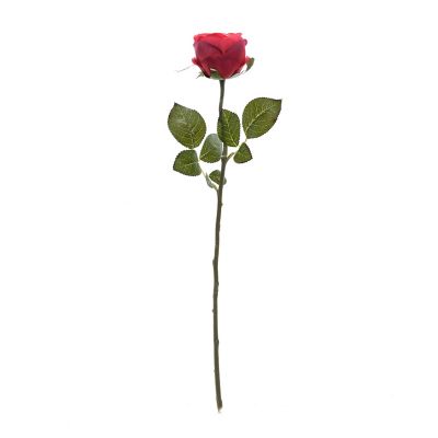 Rosa Roja 55 cm Mica