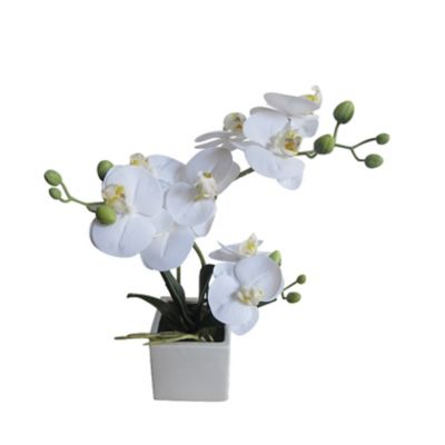 Orquídea Blanca 33cm