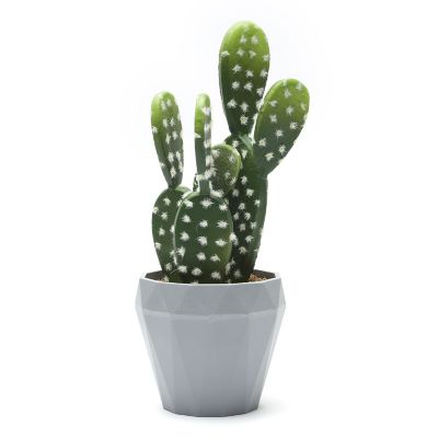 Cactus Con Maceta 9X24 cm