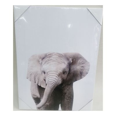 Canvas Elefante 30x40cm