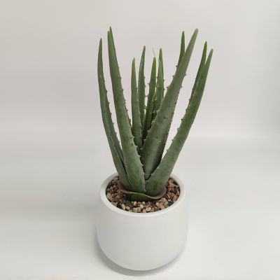 Aloe Pot Blanco 35cm